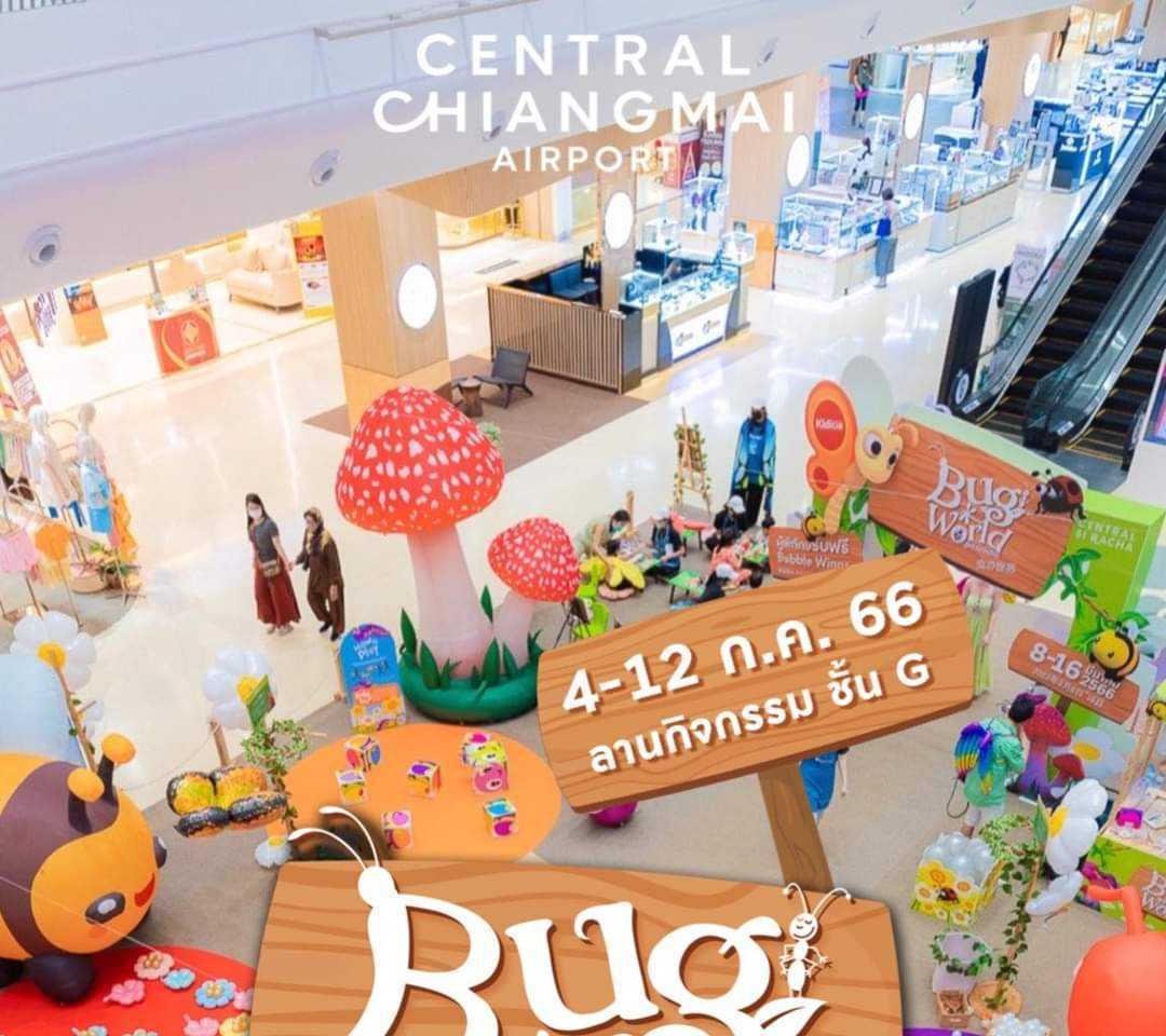 Central Chiangmai Airport - Bug World