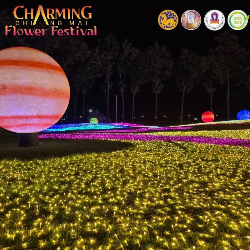 Charming Chiang Mai Flower Festival