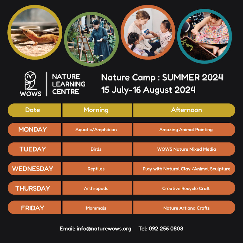 WOWS Nature Learning Center – WOWs Nature Camp