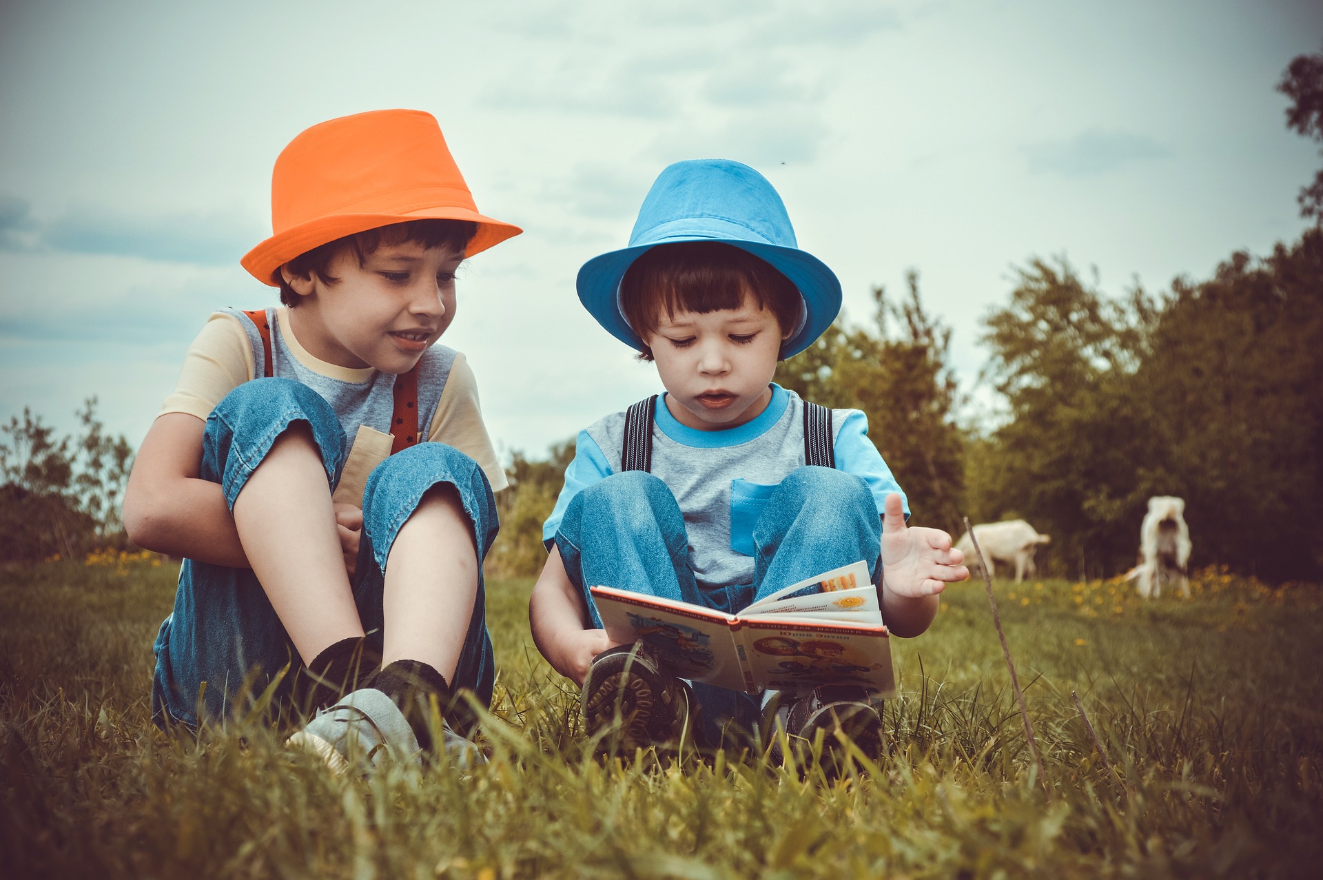 boys reading