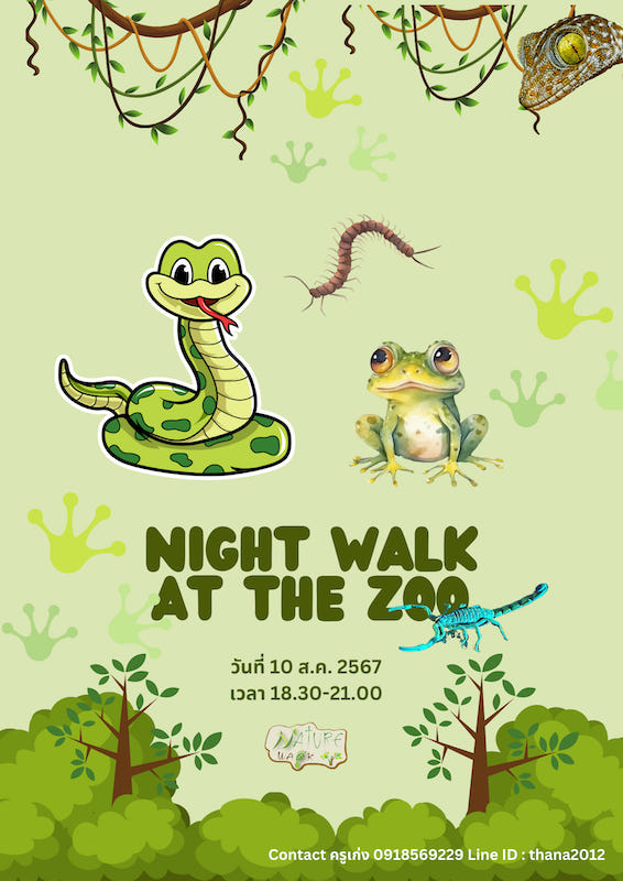 Nature Walk Life Skill - Night Walk at Zoo