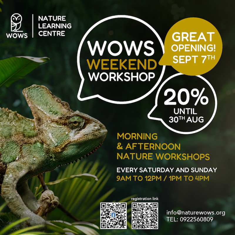 WOWS Nature Learning Center - WOWS Weekend Workshop