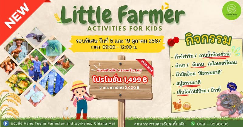 Hang Tueng Farmstay and workshop Chiang Mai - Little Farmer