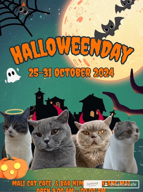 Mali Cat Cafe & Bar Nimman Chiang Mai - Halloween Day