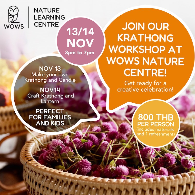 WOWS - Nature Learning Center - Krathong Workshop